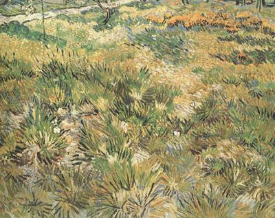 Vincent Van Gogh Meadow in the Garden of Saint-Paul Hospital (nn04) oil painting picture